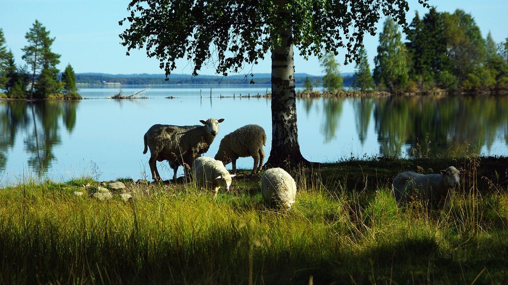 Lits Camping, Stugby Och Kanot Εξωτερικό φωτογραφία