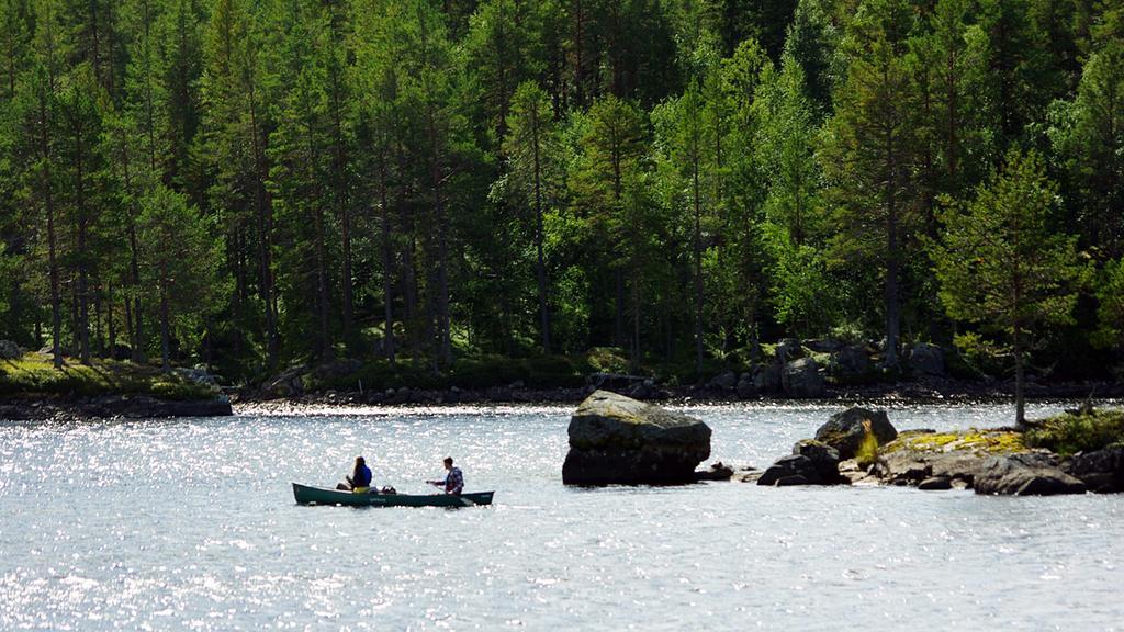 Lits Camping, Stugby Och Kanot Εξωτερικό φωτογραφία